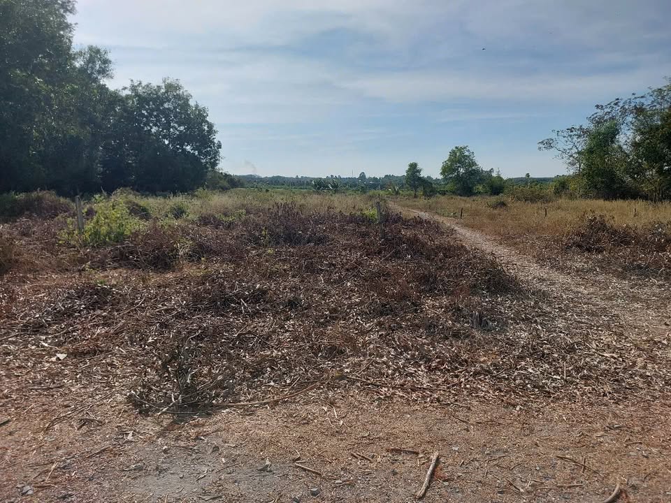 Đất thổ cư 135m² tại Phước Hòa, Tây Ninh - Giá chỉ 400 triệu!