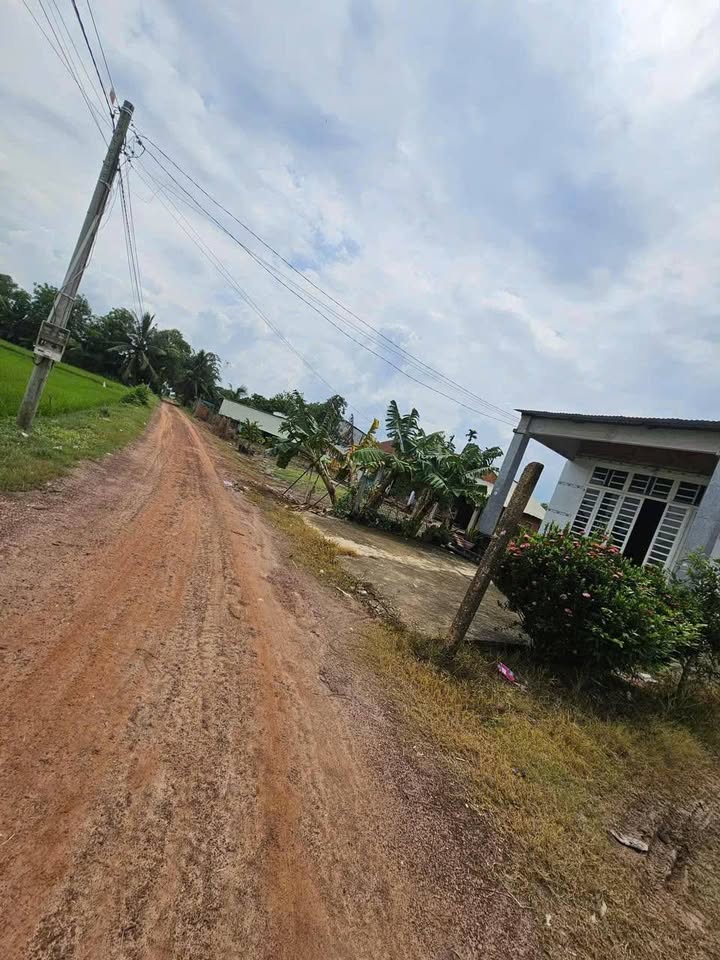 Đất thổ cư Tân Phong Tây Ninh 140m² giá 185 triệu - Nở hậu phong thủy!