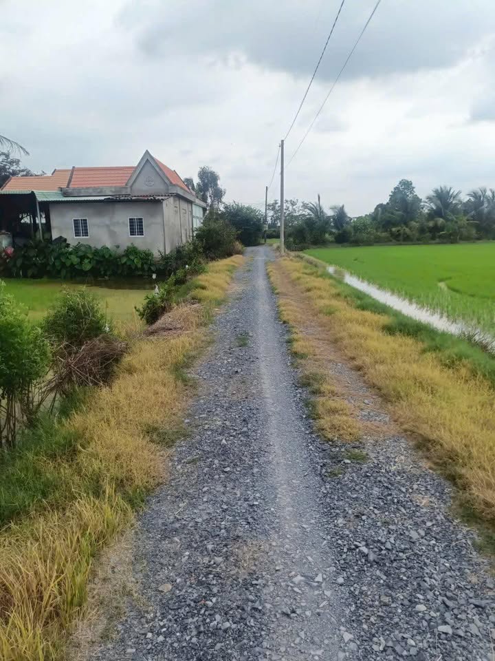 Đất lúa 5 công 8 tại xã Tân Đông, Thạnh Hóa - Giá chỉ 5.8 tỷ cho cơ hội đầu tư tuyệt vời!