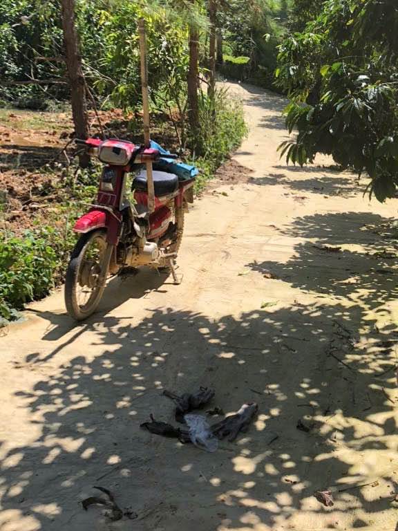 Đất nền 1ha tại Đại Lào, Bảo Lộc chỉ 270 triệu - Cơ hội đầu tư hấp dẫn!