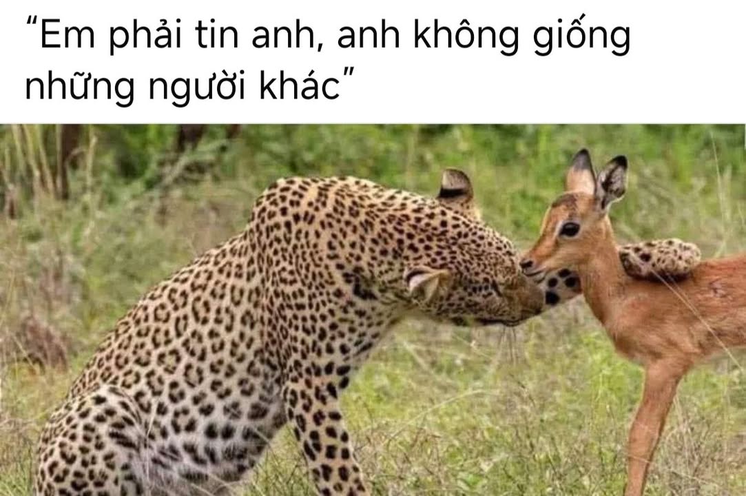 Đất nền Điện Nam Bắc 150m² giá 1.9 tỷ - Đầu tư sinh lời ngay!