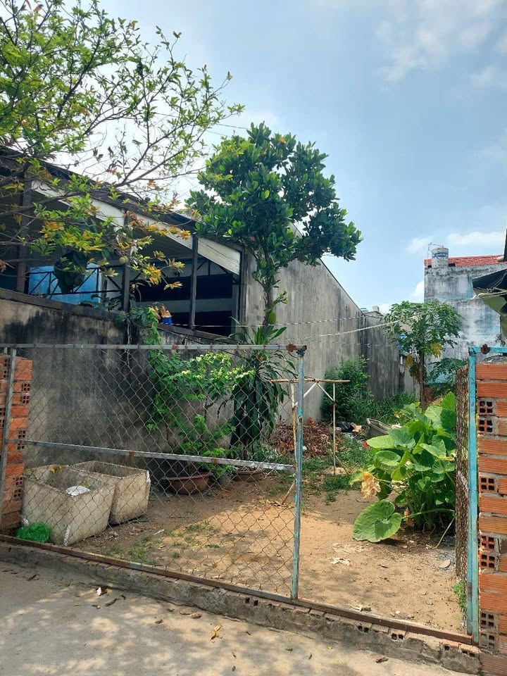 Đất Thới Tam Thôn Hóc Môn 99m² giá 3.6 tỷ - Đường thông xe hơi thuận tiện!