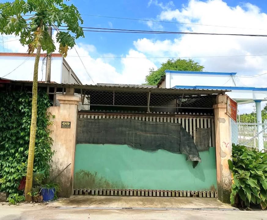 Nhà cấp 4 ấp Cây Sộp, Tân An Hội, Củ Chi 170m² - Sẵn sàng vào ở ngay!