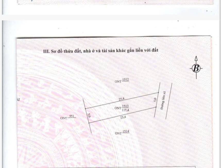 Đất thổ cư Yên Lạc, Yên Định 117m² giá 1.4 tỷ - Vị trí kinh doanh thuận lợi!