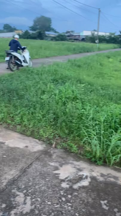 Đất thổ cư 155m² Xuân Định, Đồng Nai chỉ 500 triệu - Bán gấp trong tuần!