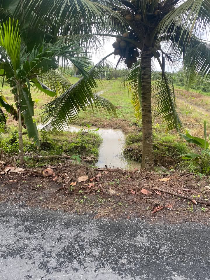 Đất mặt tiền đường nhựa 750m² xã Vĩnh Xuân, giá 750 triệu - Cơ hội đầu tư hấp dẫn!