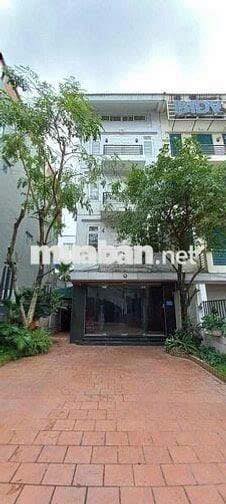 Nhà nguyên căn cho thuê phố Hoàng Cầu, Đống Đa 650m² - Phù hợp làm văn phòng, trung tâm giáo dục!