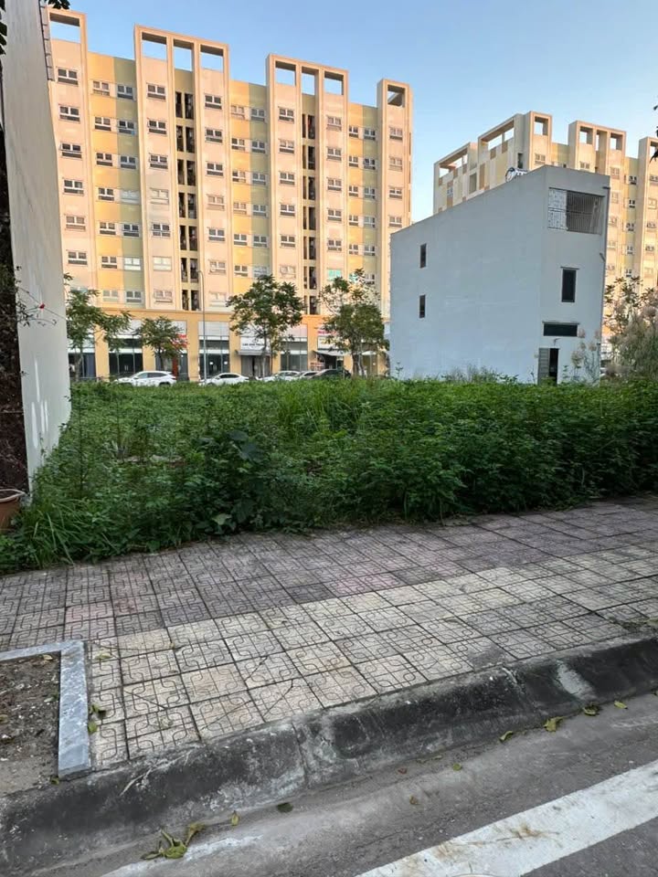 Đất thổ cư Vũ Phúc, Thái Bình 76.5m² giá chỉ 3 tỷ - Vị trí đắc địa đường Doãn Khuê!