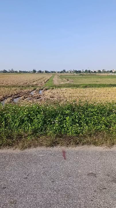 Đất nền mặt đường ĐH Quang Minh, Kiến Xương 105m² - Giá thỏa thuận hấp dẫn!