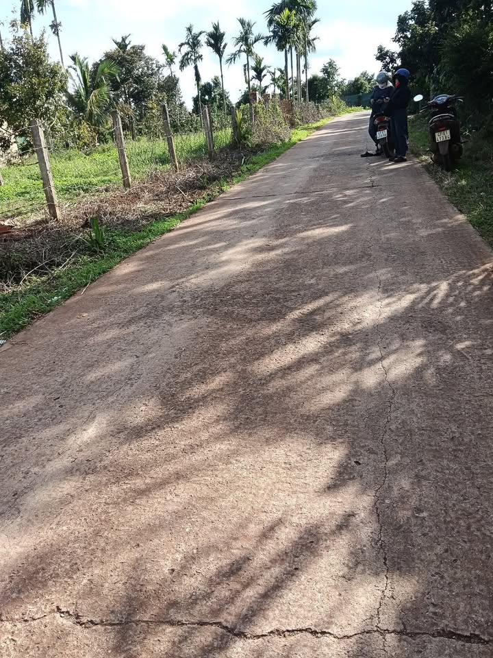 Đất nền Phú Lộc Krông Năng 600m² giá 670 triệu - Cơ hội đầu tư tuyệt vời!