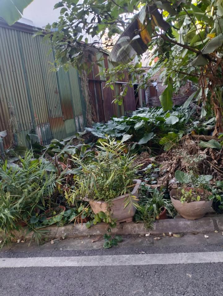 Nhà phố Keo Gia Lâm 45m² giá 3 tỷ - Ô tô vào tận nhà!