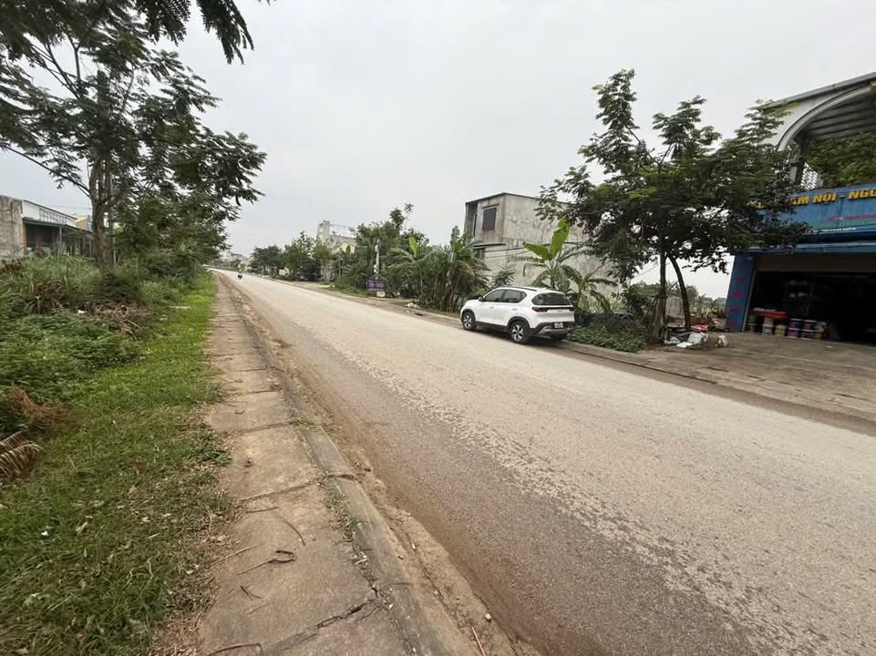 Đất nền mặt tiền Quốc lộ 47, xã Nam Giang, Thọ Xuân - Diện tích 100m², giá tốt cho nhà đầu tư!