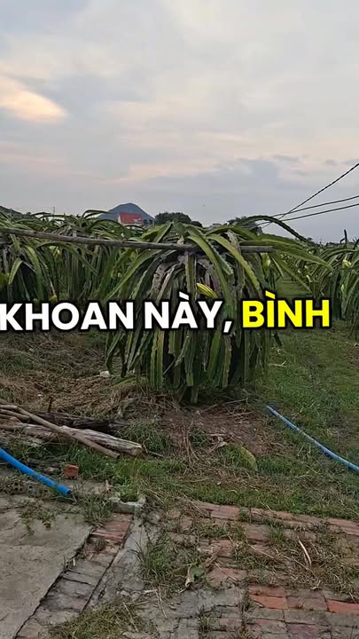 Đất nền Hàm Minh, Bình Thuận 3000m² giá 650 triệu - Cơ hội đầu tư tiềm năng!