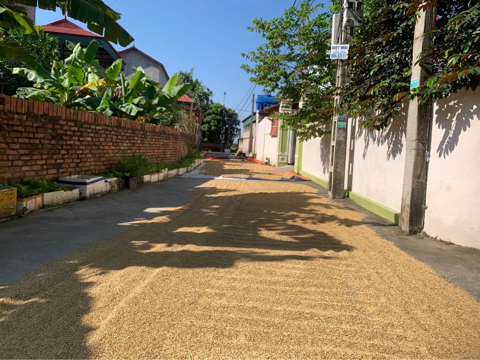 Đất nền Chi Lăng, Quế Võ, Bắc Ninh 100m² giá chỉ 1.1 tỷ - Sổ hồng chính chủ!