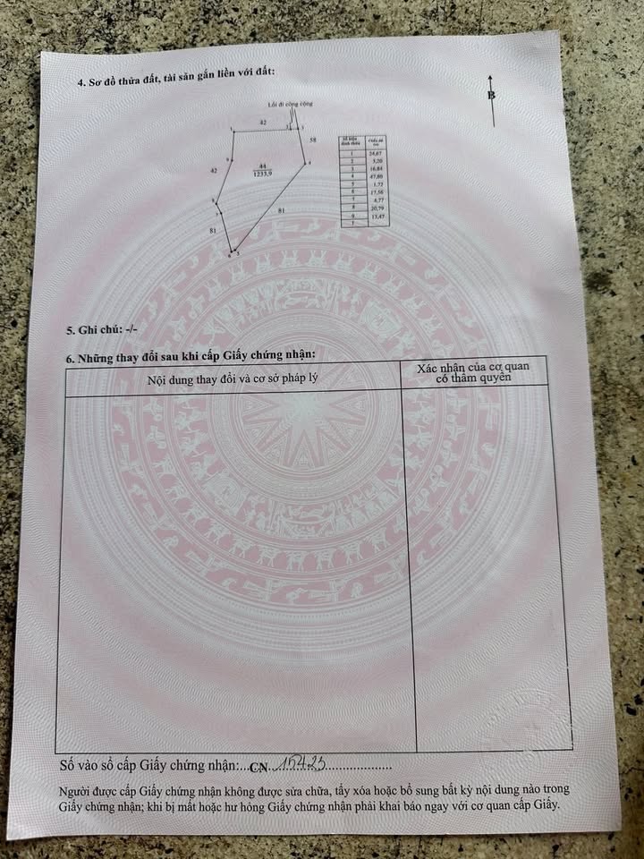 Đất nền 1234m² tại ấp 3, xã Phước Đông, Cần Đước - Giá chỉ 600 triệu, chính chủ!