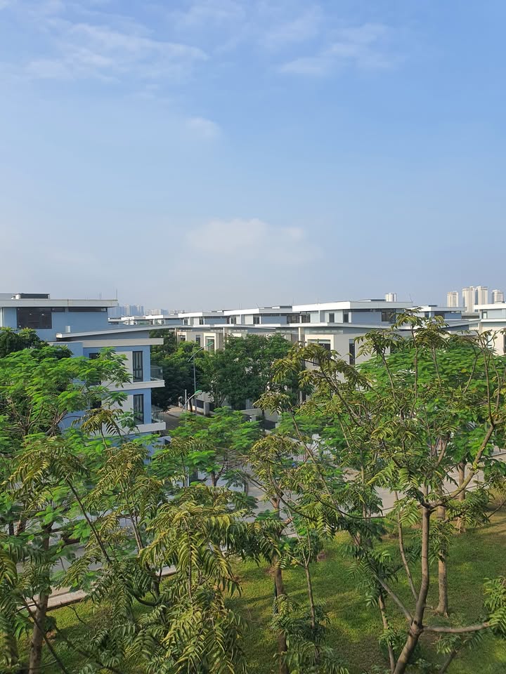 Đất dự án tại Dương Nội, Hà Đông 90m² giá tốt - Thiết kế tòa 9 tầng hoàn hảo!