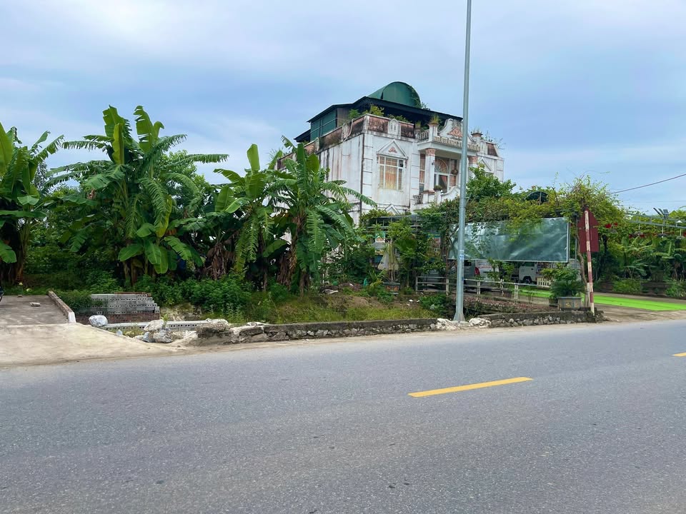 Đất mặt tiền đường 64 Bình Lục 117m² giá thỏa thuận - Đầu tư sinh lời hấp dẫn!