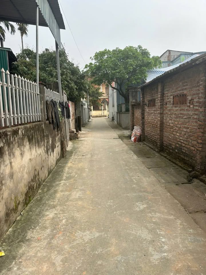 Bán lô đất thôn Cấn Thượng, Quốc Oai 257,5m² giá chỉ 30 triệu/m² - Đầu tư sinh lời tốt!