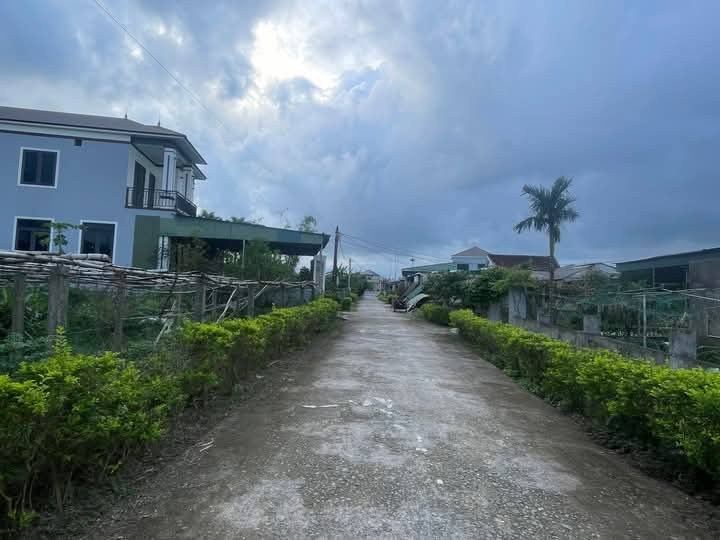 Đất thổ cư 150m² tại thôn Tân Vĩnh Cần, xã Cẩm Thành - Gần chợ mới Cẩm Thành!