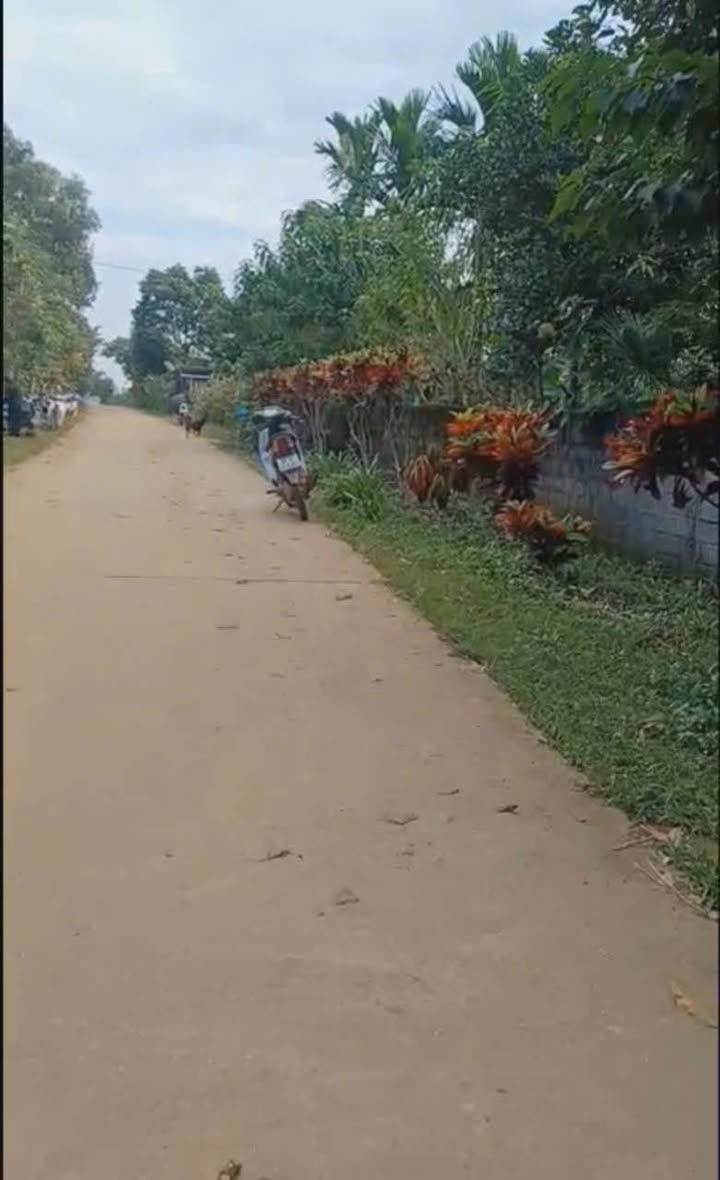 Đất nền Thanh Hối, Tân Lạc, Hòa Bình 150m² - Mặt tiền rộng, giá thỏa thuận!