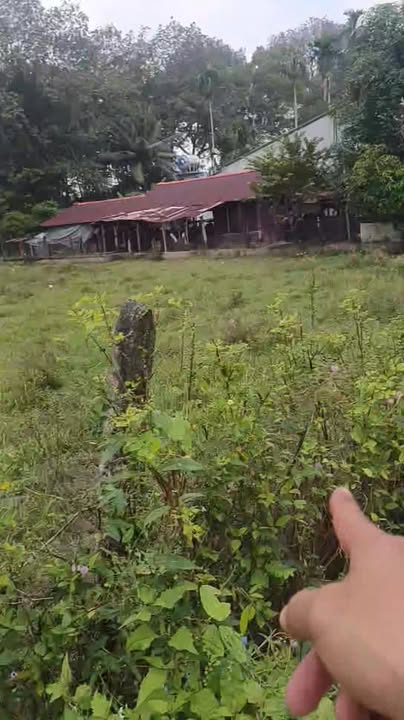 Đất nền Gò Dầu Tây Ninh 160m² giá tốt - Đầu tư sinh lời ngay!