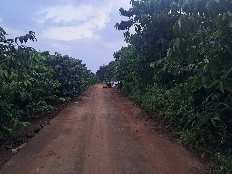 Đất thổ cư 330m² tại thị trấn Nam Ban, Lâm Hà - Giá 1,6 tỷ, cơ hội đầu tư tuyệt vời!