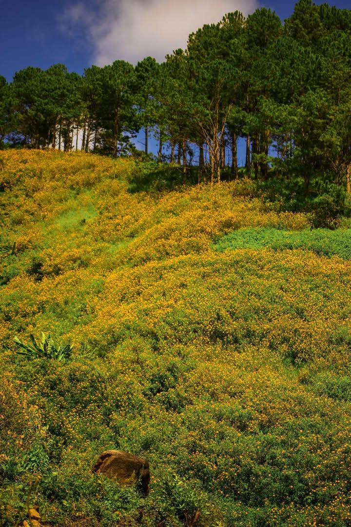 Đất nền Đam Rông Lâm Đồng 3400m² chỉ 500 triệu - Cơ hội đầu tư hấp dẫn!