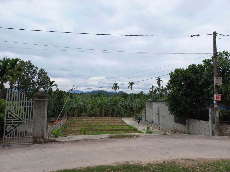 Đất nền Kênh Giang, Thủy Nguyên 75m² giá chỉ 600 triệu - Hướng Đông Nam, vị trí đẹp!