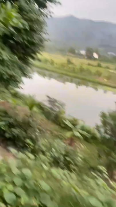 Đất farm 1.5ha tại Thanh Sơn, Phú Thọ chỉ từ 100 triệu - Cơ hội đầu tư sinh lời!