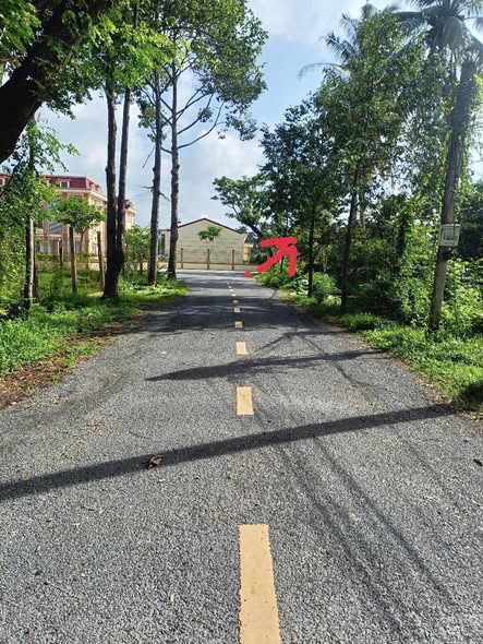 Đất bán tại Phú Hưng, Bến Tre 1.244m² giá 3 tỷ - Cơ hội đầu tư tuyệt vời!