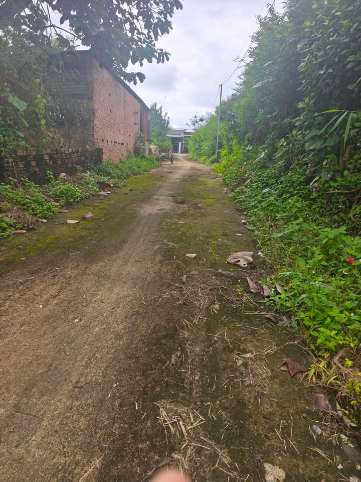 Đất nền Thanh Sơn, Tân Phú 80m² chỉ 530 triệu - Đầu tư sinh lời ngay!