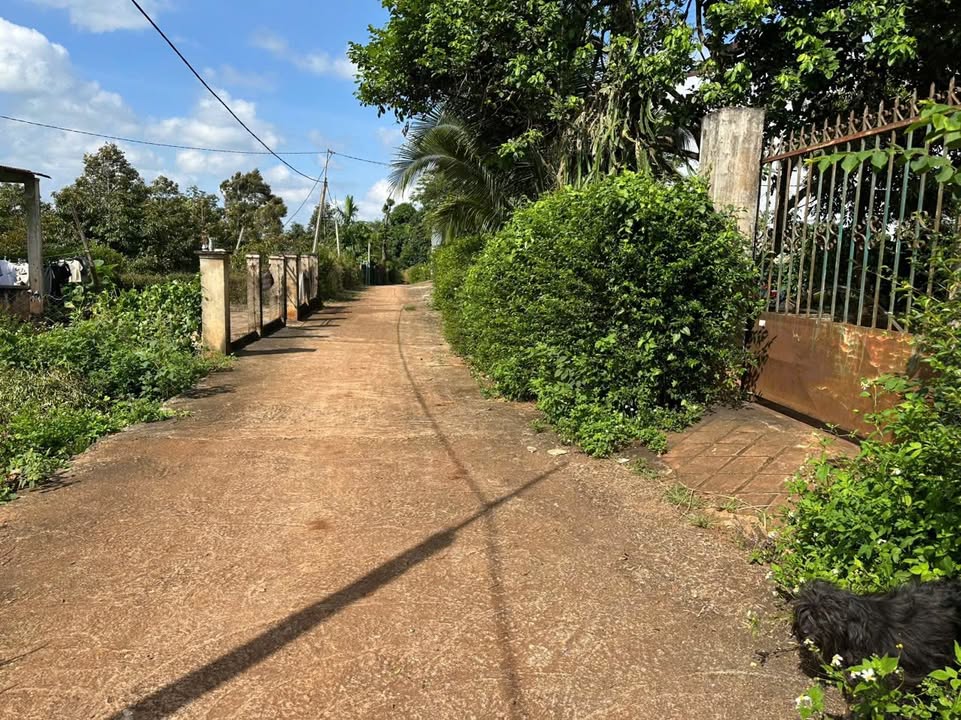 Đất thổ cư TDP9, phường Tân Lợi, TP Buôn Ma Thuột 180m² giá 999 triệu - Đầu tư sinh lời ngay!