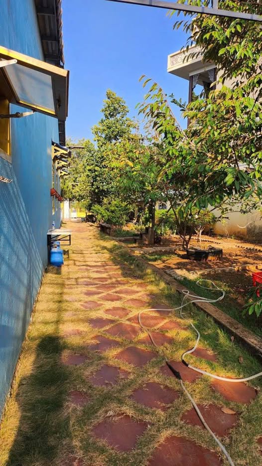 Nhà vườn Tạ Quang Bửu 730m² giá 4.8 tỷ - Vị trí đẹp, pháp lý rõ ràng!