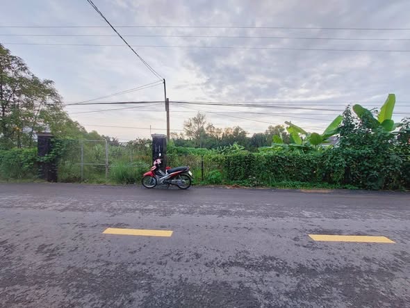 Đất nền 1200m² mặt tiền đường Bà Kiểu, Phước Lại, Cần Giuộc - Giá chỉ 3.5 tỷ!