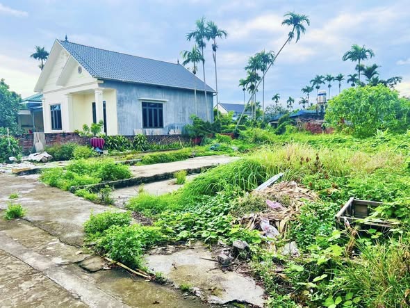 Đất nền Kinh Điền Tân Viên An Lão 96m² giá 700 triệu - Hướng Đông, thuận lợi kinh doanh!