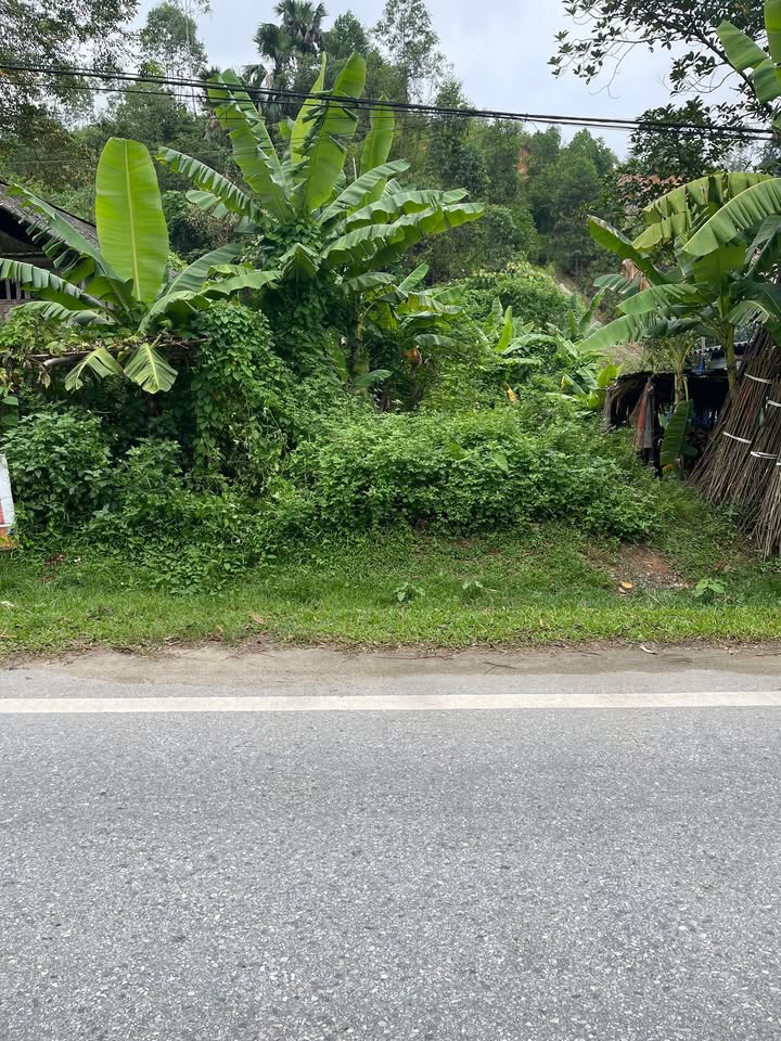 Đất nền phường Âu Lâu 140m² giá 900 triệu - Đầu tư sinh lời ngay!