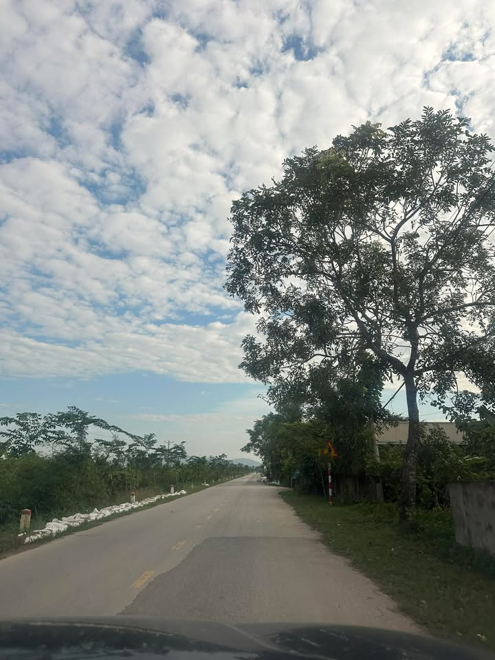 Đất nền Yên Định Thanh Hóa 294m² giá 2 tỷ - Đầy tiềm năng đầu tư!