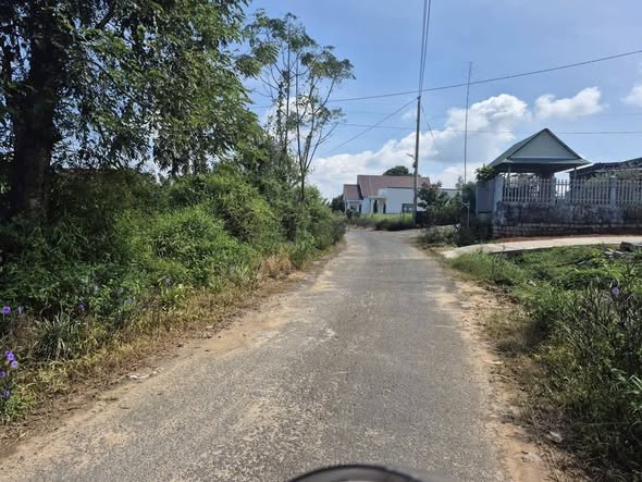 Đất nền thổ cư 1500m² xã Lộc Nam, Bảo Lâm - Giá chỉ 120 triệu!