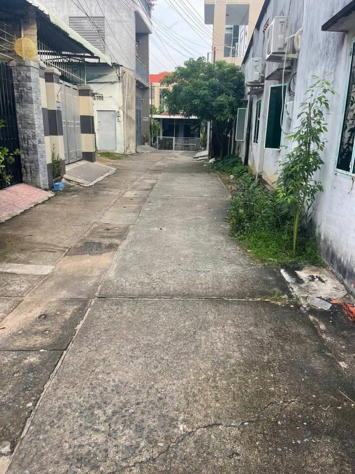 Đất thổ cư Phước Hưng Bà Rịa 135m² giá 2.45 tỷ - Đầu tư sinh lời ngay!