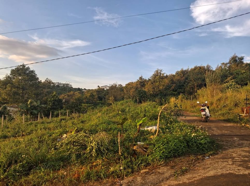 Đất nền Hẻm 360 Phan Đình Phùng 280m² giá 1.45 tỷ - Lô góc 2 mặt tiền