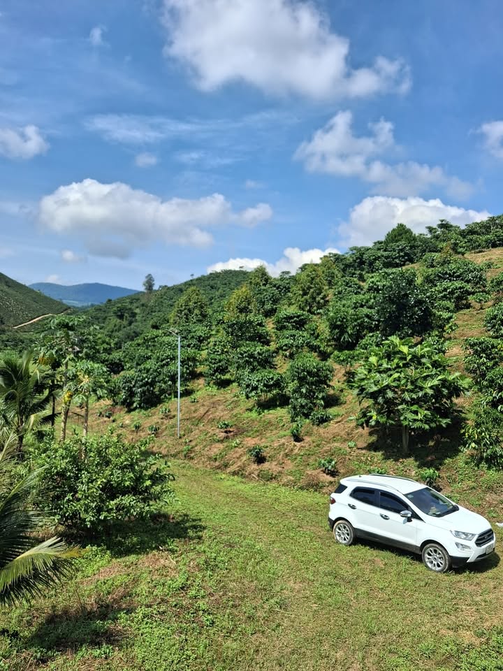 Đất nền thôn 10, xã Lộc Thành, huyện Bảo Lâm, diện tích 10.000m², giá 4.3 tỷ - Sẵn sàng xây dựng ngay!