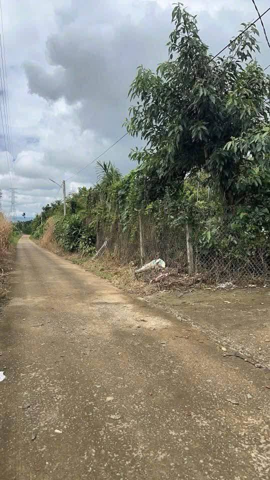 Đất thổ cư Lộc An 16200m² giá 7 tỷ - Đầu tư sinh lời hiệu quả!