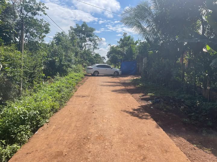 Đất nền khu dân cư Ea Drơng, Cư M'gar, Đắk Lắk 250m² giá 300 triệu - Sổ đỏ chính chủ!