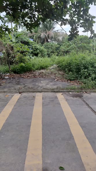 Đất thổ cư Vĩnh Phú 140m² giá chỉ 4.7 tỷ - Đầu tư sinh lời cao!