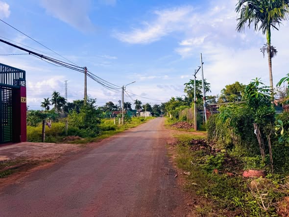 Đất nền mặt tiền đường nhựa Tân An 245m² giá 1.95 tỷ - Đầu tư sinh lời ngay!