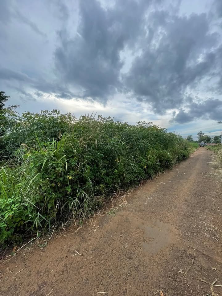 Đất nền Trà Đa, Pleiku 960m² giá 1 tỷ - Cơ hội đầu tư tuyệt vời!