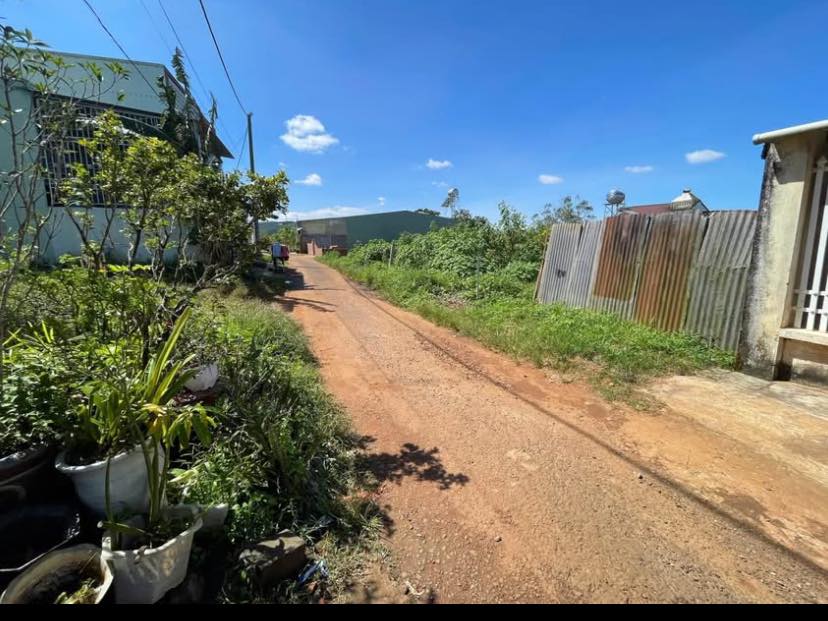 Đất hẻm Tôn Thất Tùng, TP Pleiku 114m² giá 1.1 tỷ - Đầu tư sinh lời ngay!