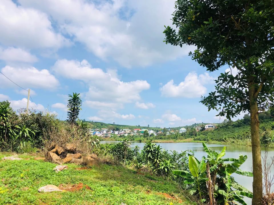 Đất thổ cư 3000m² tại thôn 2 Lộc Tân - Chỉ 4 tỷ, thương lượng chính chủ!