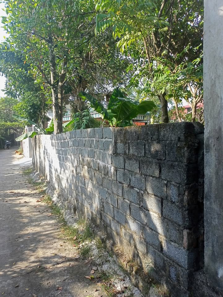 Nhà cấp 4 kiên cố 314m² tại Lương Sơn - Bán gấp chính chủ!