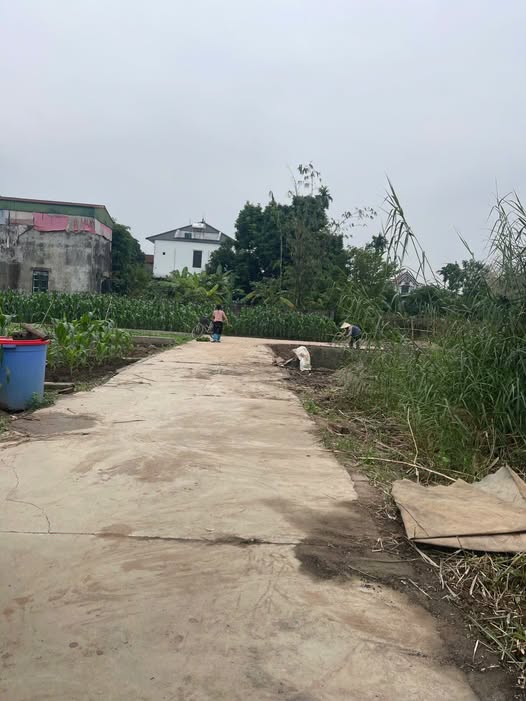 Đất nền Chương Dương 85m² giá chỉ 3x triệu - Đón đầu sóng Vin!